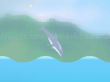 Play Dolphin cup now