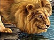 Big thirsty lion slide puzzle