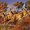 играть Runner deers slide puzzle