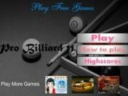 Play Pro billiard 11 now