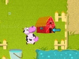 Play Crazy cow now