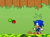 играть Sonic in Garden