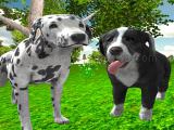 Play Dog simulator 3d now