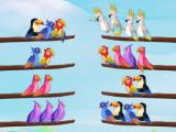 играть Bird sort puzzle now