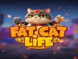 играть Fat cat life now