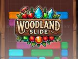 играть Woodland slide