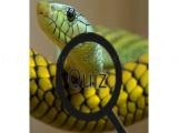 играть Wildlife animal trivia:test your knowledge!