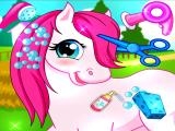 играть Horse pet salon 3d now