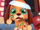 играть Stray puppy pet care game now
