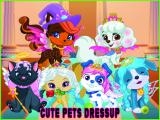 играть Cute pets summer dress up now