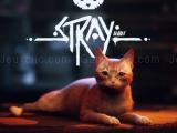 играть Stray now