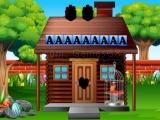 играть Rescue the pirate parrot now