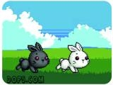 играть Bu bunny two rabbit now
