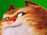играть The amazing maurice card match now
