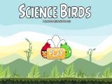 играть Science birds now