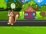 играть Feed the squirrel now