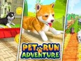 играть Pet run adventure puppy run