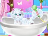 играть Excellent pet groomer now