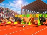 играть Dog run 3d now