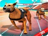 играть Crazy dog race now