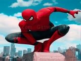 играть Sipderman skate now