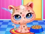 играть Cute kitty care now