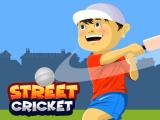 играть Street cricket now