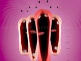 играть Funny chorus now