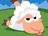 играть Sheep run now