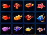 играть Fish cards match now