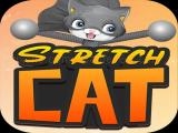 играть Stretch cat 3d now