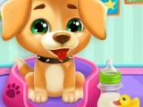 играть Animals day care now