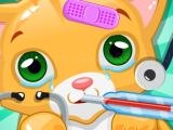 играть Little cat game now