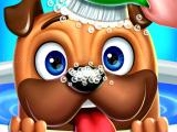 играть Animal daycare pet now