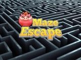 играть Maze escape now