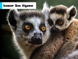 играть Lemur zoo jigsaw now