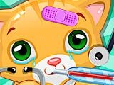 играть Doctor pets now