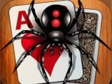 играть Classic spider solitaire now