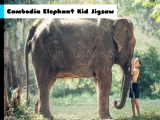 играть Cambodia elephant kid jigsaw now