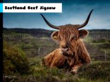 играть Scotland beef jigsaw now
