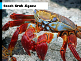 играть Beach crab jigsaw now