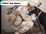 играть Soldier dog jigsaw now