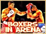 играть Boxers in arena now