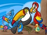 играть Exotic birds coloring now