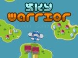 играть Sky warrior now