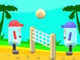 играть Beach volleyball now